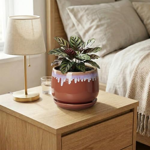 Ceramic Plant Pot - 6 Inch Planters for Indoor Plants, Round Ceramic Planter with Drainage Hole and Saucer, Decorative Small Plant Pots, Room Bookshelf Decor, Red-Purple - size: 6 Inch, style: Red-purple
