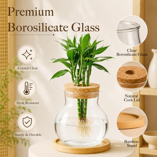 6 Pcs Plant Propagation Station Set, Glass Propagation Vases for Plants with Wooden Lids & Bamboo Stands, Hydroponic Vase Jars for Plant Cuttings, Terrarium Planters for Desk, Home Office Decor