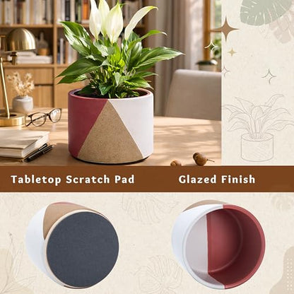 D'vine Dev 2-Pack Cachepot with Clear Pot, 6.5" Low, Crimson Dune, 93-V-D-4 | Dual-Pot System, Root Visibility, Bottom Watering Support, Enhanced Drainage, Artistic Stoneware Design, Easy Plant Care - color: Crimson Dune, size: 6.5” Cachepot + 6“ Clear Gr