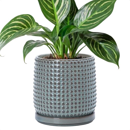 D'vine Dev Beaded Ceramic Pot with Saucer, 6 in, Graphite Blue, 27-C-X-9 | Embossed Dot Texture, Smooth Glazed Finish, Timeless Vintage Charm, Drainage Holes, Stylish Accent for Modern Home Décor - color: Graphite Blue, size: 5.8 Inch