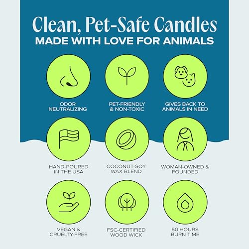 You & Me by the Sea Pet-Friendly Scented Candle – Sea Salt & Neroli Fragrance - Coconut Soy Wax Candle with Wooden Wick, Approx. 50-Hour Burn Time, Made in USA, 11.8 oz - color: You & Me by The Sea