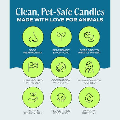 You & Me by the Sea Pet-Friendly Scented Candle – Sea Salt & Neroli Fragrance - Coconut Soy Wax Candle with Wooden Wick, Approx. 50-Hour Burn Time, Made in USA, 11.8 oz - color: You & Me by The Sea