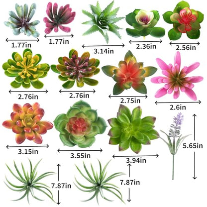 COTSEN 25 Pcs Artificial Succulent Plants Fake Succulents Assorted Unpotted Suitable for Office Garden Interior Decor