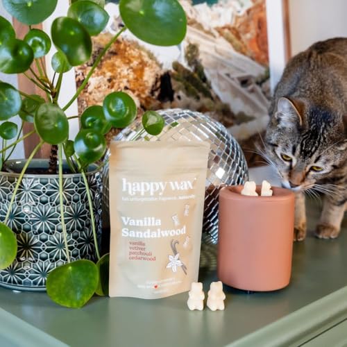 Happy Wax Clay Mini Mod Warmer for Scented Wax - Small Tabletop with Timer - Electric, Ceramic with Removable No Mess Silicone Dish - color: Clay
