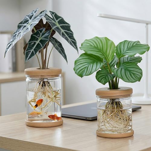 Desktop Clear Hydroponic Plant Vase, Transparent Water Plant Jars with Lid, Plants Container for Desk, Indoor, Home, Office Decor and Outdoor for Gardening Gifts to Plants Lovers - color: Clear