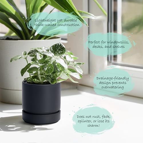 Phoenix Vine 4 Inch Planter Pot with Drainage Hole & Saucer, Deep Water Catch Tray, Straight Cylindrical Round Pot for Plants, Matte Black, Pack of 2, 23-C-R-2 - color: Matte Black, size: 4" (2 Pack)