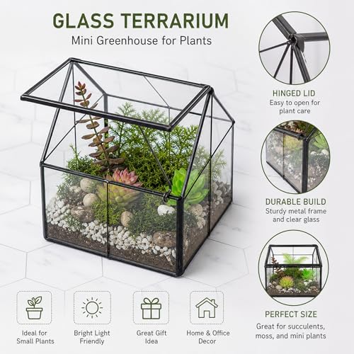 House Shape Glass Terrarium Planter with Swing Lid Black Frame | Black metal frame transparent glass panel, suitable for DIY planting of small succulent plants and mosses - size: 4.3"L x 4.3"W x 4.9"H