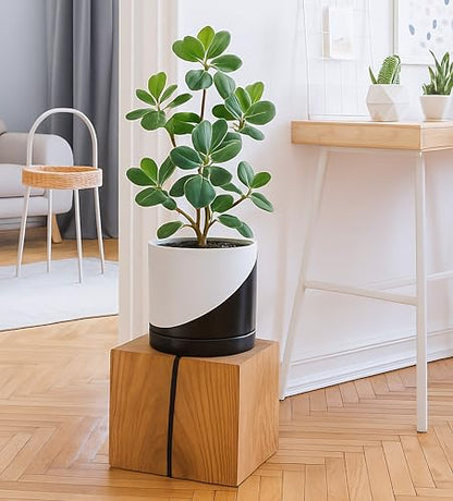 D'vine Dev 8.2 Inch Ceramic Planter Pot, Black White Diagonal, 94-O-D-K | Modern Cylinder Design, Drainage Hole & Saucer Included, Stable Structure, Elegant Home Accent - color: Oblique Monochrome Black & White, size: Medium