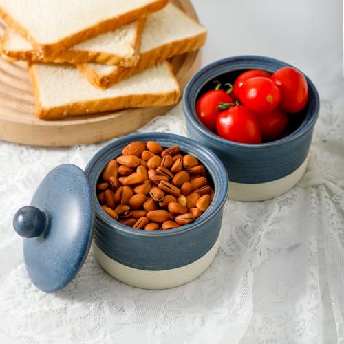 Hasense Salt Cellar Set, Ceramic Salt Box with Lid, 9 oz Stacked Salt Pepper Container for Countertop, Small Spice Bowls for Salt Pepper Sugar, Christmas Gift Ideas, Set of 2, Deep Blue - color: Deep Blue