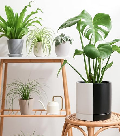 D'vine Dev 10 Inch Ceramic Planter Pot, Black White Split, 94-O-E-0 | Modern Cylinder Design, Drainage Hole & Saucer Included, Stable Structure, Elegant Home Accent - color: Split Monochrome Black & White, size: Large
