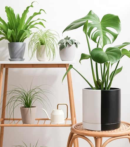 D'vine Dev 10 Inch Ceramic Planter Pot, Black White Split, 94-O-E-0 | Modern Cylinder Design, Drainage Hole & Saucer Included, Stable Structure, Elegant Home Accent - color: Split Monochrome Black & White, size: Large