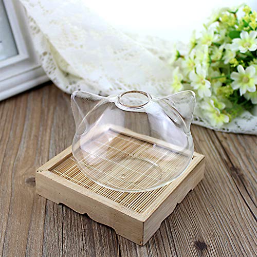 Cat Glass Vases Clear Flower Plant Terrarium Container Hanging Vase Wedding Decor Garden Ornaments Hanging Planter