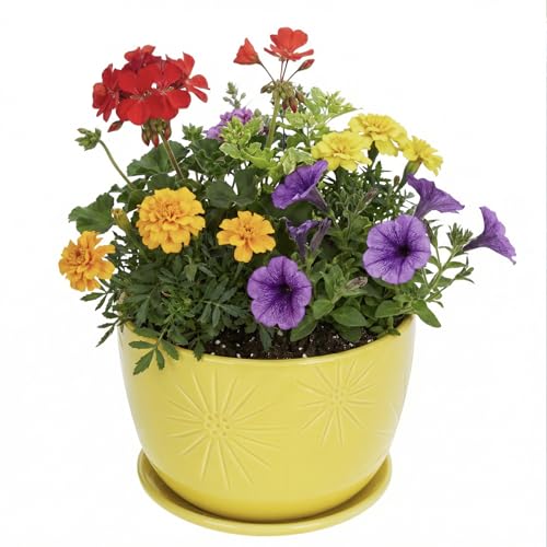 MyGift 7 Inch Yellow Ceramic Planter Pot with Sunburst Design & Saucer | Bright tabletop planter features a textured geometric finish & built-in water tray, perfect for herbs, flowers, and greenery - color: Yellow