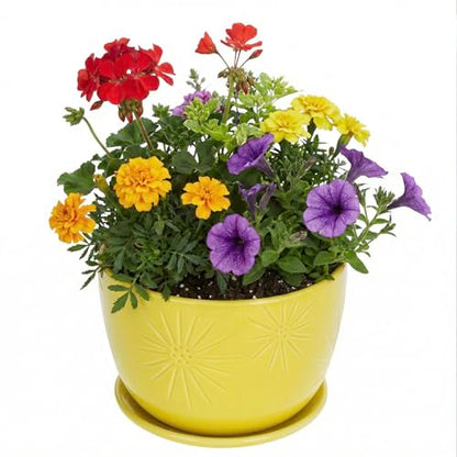 MyGift 7 Inch Yellow Ceramic Planter Pot with Sunburst Design & Saucer | Bright tabletop planter features a textured geometric finish & built-in water tray, perfect for herbs, flowers, and greenery - color: Yellow