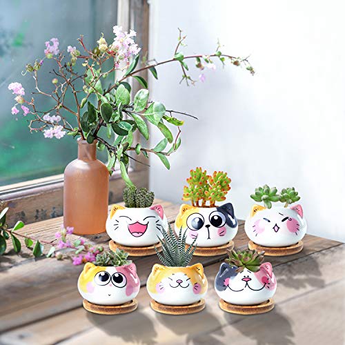 3.6Inch Cat Pot for Plant, Cat Planter Succulent Pot with Drainage Set of 6 | Tiny Animal Planter, Small Ceramic Air Plant Cat Flower Pots, Cactus Planters Containers with Bamboo Tray - color: Sitting Cats 6pcs