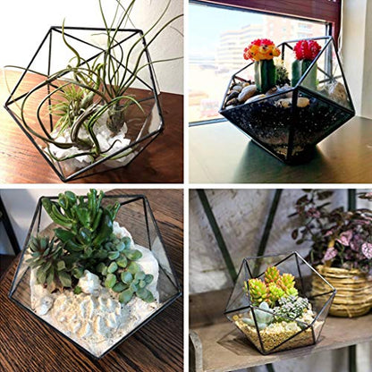 Glass Terrarium Storage Box Jewelry Holder Glass Geometric Tabletop Succulent Plant Box Planter Holder for Case Black Go - color: Gold