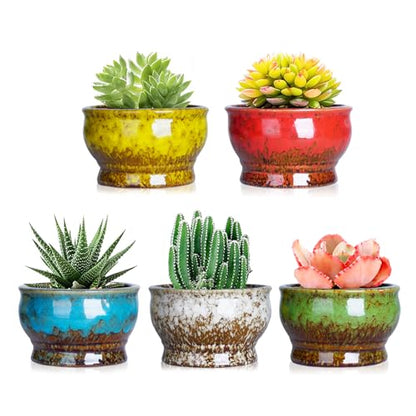 ARTKETTY Succulent Pots, 4.3 Inch Small Plant Pots with Drainage Set of 5 | Ceramic Pots for Indoor Plants Glazed Cactus Flower Planter Container - color: 4.3"-round(5pcs)
