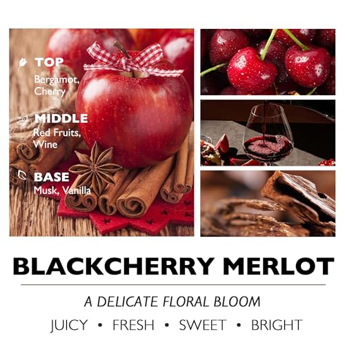 HomeLights Soy Wax Candles for Home Scented, 1-Wick Candles in Blackcherry Merlot Scented, Aromatherapy Candles Gift for Parties, Relaxing, Eclectic Mixed Styles, 6.7oz - color: Blackcherry Merlot