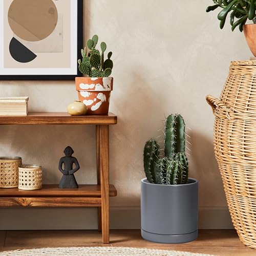 D'vine Dev 3-Pack Ceramic Pots & Saucers, 6/8/10 in, Grey, 94-T-L-3 | Glazed Ceramic, Drainage Hole, Perfect-Fit Saucer, Sleek Cylinder Shape, High Temperature Fired, Elegant Home Accent - color: Gray, size: 6"+8"+10"