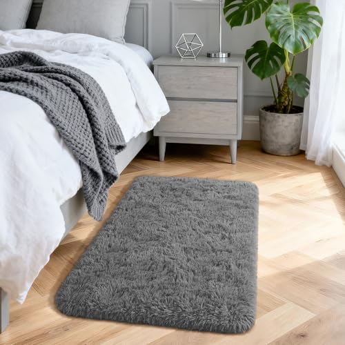 Soft Modern Indoor Shaggy Area Rug for Bedroom Livingroom Dorm Kids Room Home Decorative, Non-Slip Plush Fluffy Furry Fur Rugs Comfy Nursery Accent Floor Carpet 2x3 Feet, Charcoal - color: Charcoal, size: 2' x 3' (Rectangular)