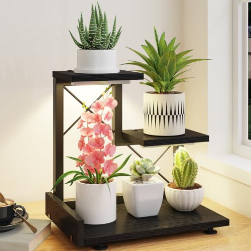 LASZOLA Plant Stand Indoor Tabletop Desk with Lights, Small 3 Tier Black | Corner Shelf for Succulents, Countertop Flower Holder Display Rack Organizer for Office Kitchen Decor, Desk Accessories - color: Black with Light