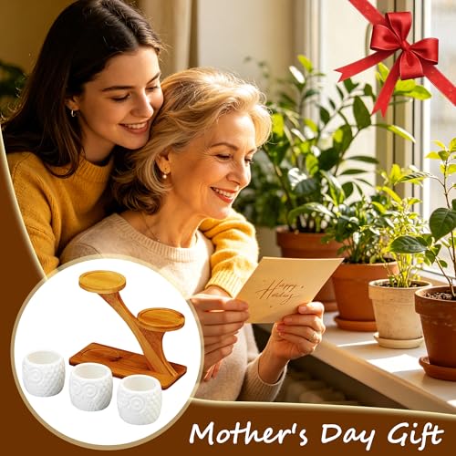 FLOWERPLUS Planter Pots Indoor, 3 Pack 3 Inch White Ceramic Decorative Small Owl Succulent Cactus Flower Plant Pot with Tree Tier Bamboo Stand for Garden Kitchen Home Office Desk Decorations