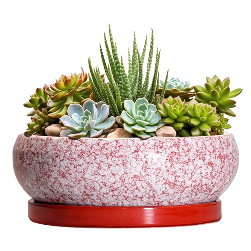 Succulent Pots - 8 Inch Bonsai Pots for Indoor Outdoor, Shallow Ceramic Planter with Drainage Hole and Saucer, Round Flower Succulent Planters, Room Decor, Gifts for Plant Lovers, Red - color: Red-white, size: 8 Inch