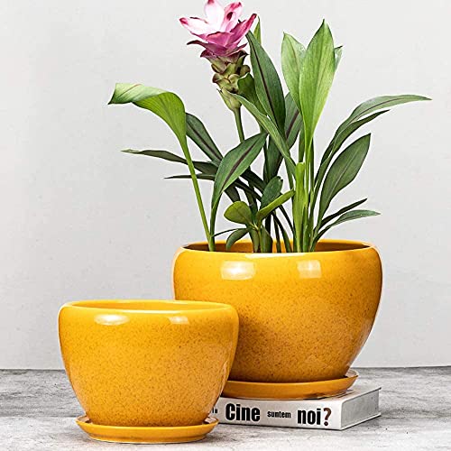 Yellow Ceramic Plant Pot with Tray Modern Glazed Round Flower Pot, Decorative Outdoor/Indoor Planter for Succulents, Cactus, Herbs, Unique Gardening Gift