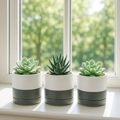 D'vine Dev 4-Pack Ceramic Pots with Saucers, White/Grey, 3.5 in, 94-X-A-6 | Glazed Ceramic, Drainage Hole and Saucer, Sleek Cylinder Shape, High Temperature Fired, Ideal for Small Houseplants - color: White/Speckled Grey, size: 3.5 Inch