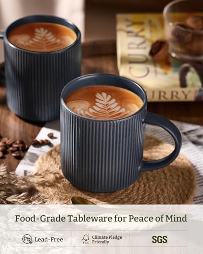 famiware Coffee Mug Set of 4, Star 16 oz Large Mugs Cup Set with Handle | Ceramic Mug for Coffee, Latte, Tea, Stackable Drinkware Set, Microwave & Dishwasher Safe, Matte Dark Charcoal - color: Matte Dark Charcoal, size: 4 Count (Pack of 1)