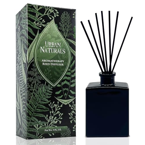Reed Diffuser Set, Balsam Forest - Bathroom Shelf Décor | Fraser Fir, Evergreen, Pine, Woodsy Cedar and Sandalwood, 5 ounce Sleek Black Rectangular Refillable Glass Bottle - color: Balsam Forest