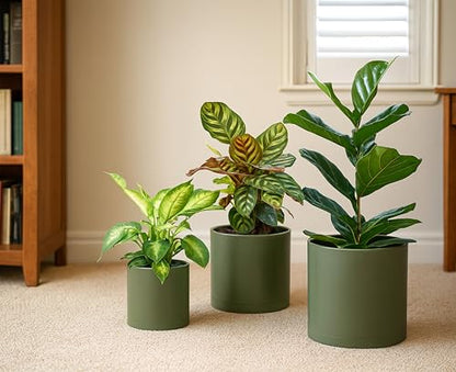 D'vine Dev 3-Pack Plastic Pots & Saucers, 6.5/8/10 in, Olive, 74-V-I-4 | Multi-Size Options, Lightweight Durable, Matte Finish, Cylinder Shape, Drainage Holes, Sleek Design, Detachable Saucer - color: Olive, size: Large