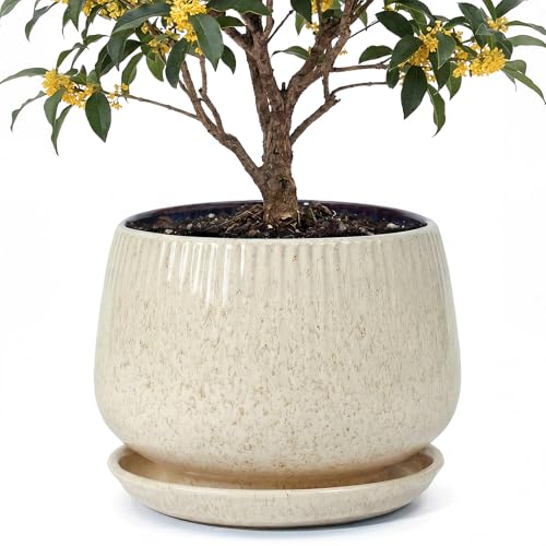 10.3 Inch Ceramic Planter with Saucer,Modern Garden Pots with Drainage Hole Mesh Net, for Indoor Outdoor Use (Silk White) - color: Silk White, size: 10.3 Inch