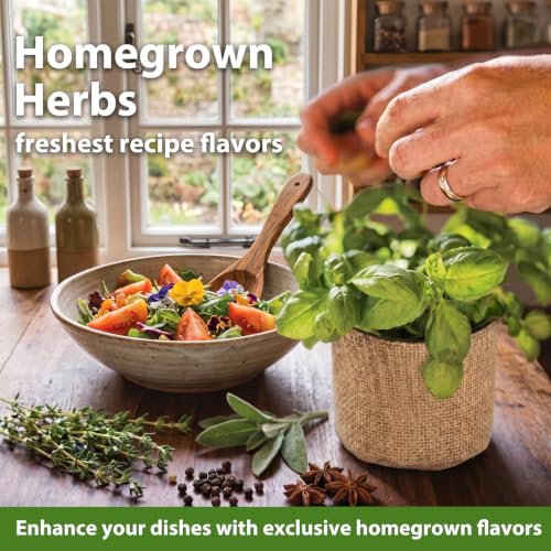 LUOJIBIE Herb Garden Kit Indoor, Herb Growing Kit with Seeds & Tools, Birthday Gifts for Women Men Mom Dad Girls Boys, House Warming Gifts New Home, Anniversary Wedding Gifts, Kitchen Décor