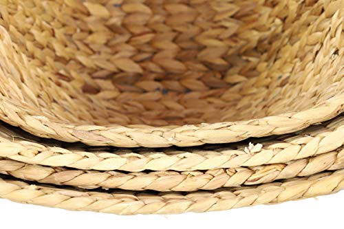 CosmoLiving by Cosmopolitan Large, Oval, Natural and Gray Dip-Dyed Water Hyacinth Wicker Storage Baskets with Round Handles | Set of 4: 19” x 18”, 17” x 15”, 16” x 14”, 14” x 12”