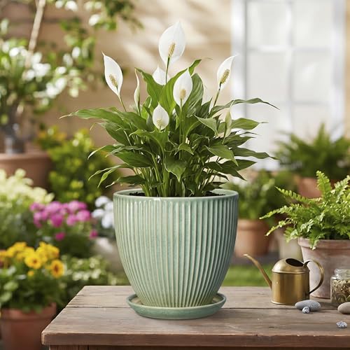 Ceramic Plant Pots, 6 Inch Ceramic Pots for Herb Snake Plants, Indoor Small Flower Pot with Drainage Hole and Saucer, Modern Round Planter, Room Office House Decor, Gardening Gifts, Green - size: 6 Inch, style: Green