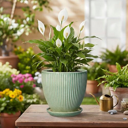 Ceramic Plant Pots, 6 Inch Ceramic Pots for Herb Snake Plants, Indoor Small Flower Pot with Drainage Hole and Saucer, Modern Round Planter, Room Office House Decor, Gardening Gifts, Green - size: 6 Inch, style: Green