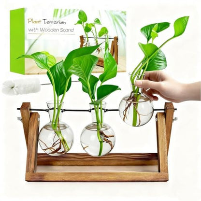 Plant Propagation Station, Plant Terrarium with Wooden Stand | Unique Gardening Birthday Gifts for Women Plants Lovers, Home Office Garden Decor Planter - 3 Bulb Glass Vases - size: 3 Bulb Vase