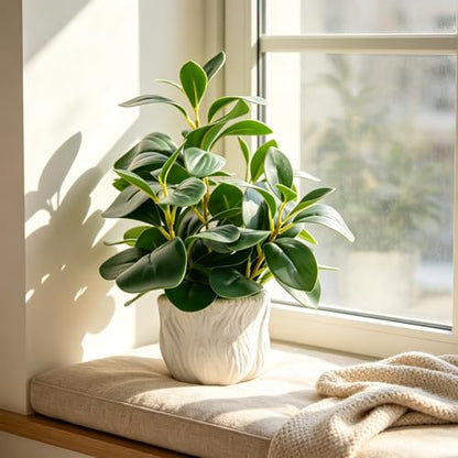14" Artificial Potted Plant with Thick Leaves in White Textured Pot | Realistic Thick Leaves , Compact Desk & Shelf Plant , White Textured Decorative Pot , Modern Home & Office Decor
