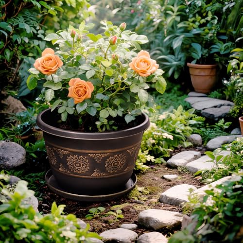 8 Inch Retro Plant Pots 6 Pack with Drainage and Saucers Gold | Gold retro PP pots with drainage holes and saucers for herbs succulents starter plants shelves and windowsills - color: Gold, size: 8 Inches-6 packs