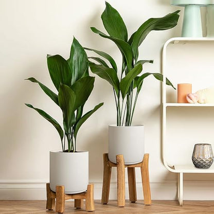 Giraffe Creation Cylinder Plant Pots 12/10/8 Inch Set of 3, Modern Round Planters with Drainage Holes and Saucers, Durable Plastic Flower Pots, White - color: White 12/10/8 Inch
