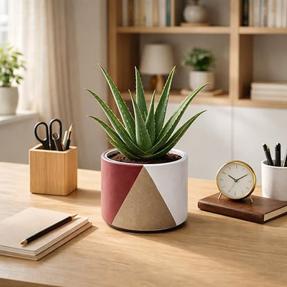 D'vine Dev 2-Pack Cachepot with Clear Pot, 6.5" Low, Crimson Dune, 93-V-D-4 | Dual-Pot System, Root Visibility, Bottom Watering Support, Enhanced Drainage, Artistic Stoneware Design, Easy Plant Care - color: Crimson Dune, size: 6.5” Cachepot + 6“ Clear Gr