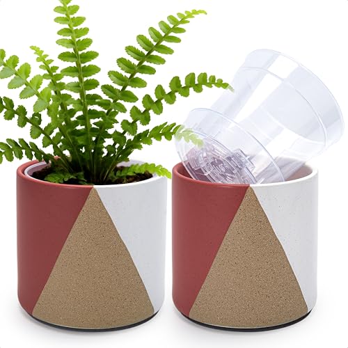 D'vine Dev 2-Pack Cachepot with Clear Pot, 6.5 in, Crimson Dune, 93-V-C-4 | Dual-Pot System, Root Visibility, Bottom Watering Support, Enhanced Drainage, Artistic Stoneware Design, Easy Plant Care - color: Crimson Dune, size: 6.5” Cachepot + 6“ Clear Grow