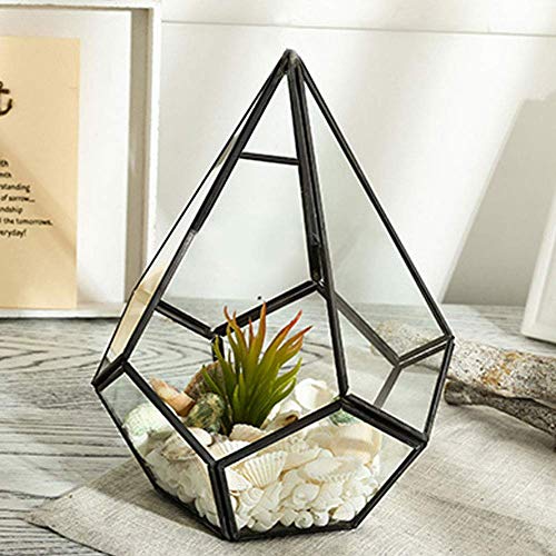 TOPINCN Glass Terrarium Stylish Geometric Shape Planter Succulent Holder Plants Container Flower Pot Tabletop Landscape Decor