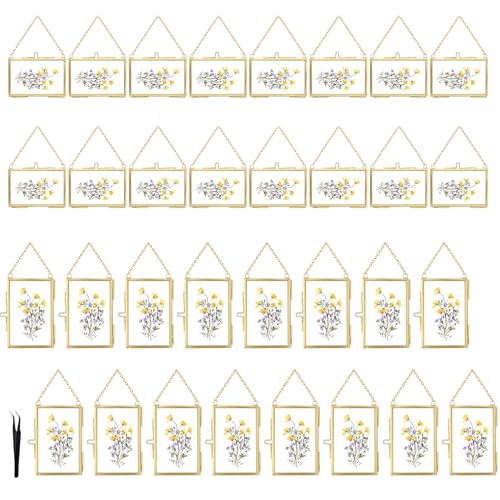 32 Pcs Double Glass Frame for Pressed Flowers,Floating Hanging Photo Christmas Ornaments Frame Brass Frames with Chain for Wall Display Gallery Artwork,Clear Vertical Horizontal Display for Botanical Art,Picture,Stamps,Gallery Decor,Gold - color: Gold-32