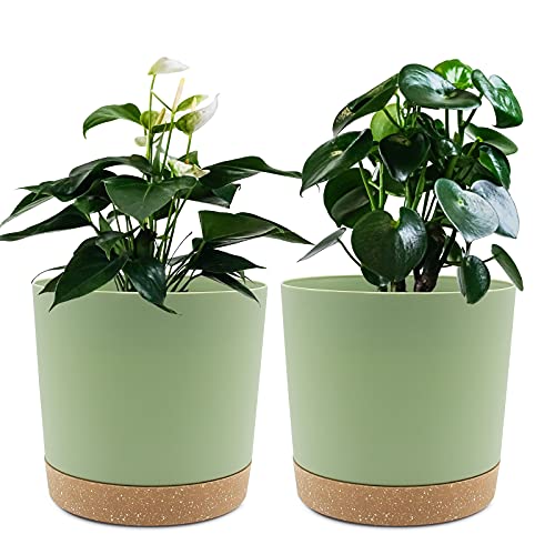 QCQHDU 6.5 inch Plant Pot, 2 Pack Planters for Indoor Plants with Drainage Holes & Saucer, Outdoor Flower Pots Home Garden Modern Decor - color: Green, size: 6.5 inch
