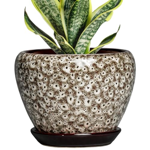 6 Inch Pots for Plants - Ceramic Plant Pots with Drainage Hole and Saucer, Round Planters for Indoor Plants Outdoor, Decorative Planter, Home Decor, Gifts for Plant Lovers, White Leopard - color: White Leopard, size: 6 Inch