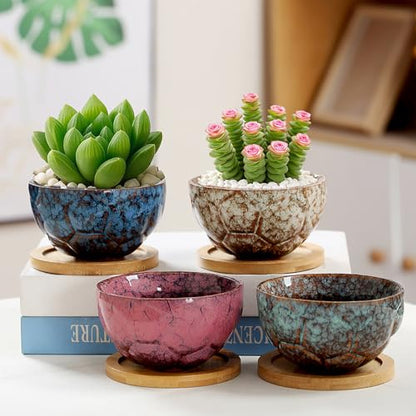 YYW Ceramic Succulent Planter, 4 Pack Cute Garden Pots with Drainage and Attached Saucer - color: Dark Ceramics