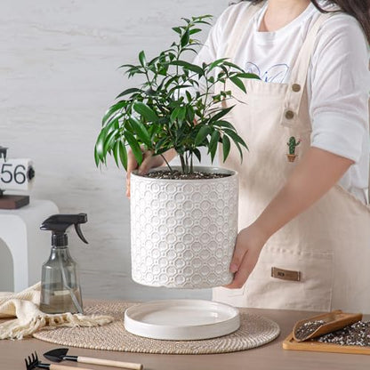 8 Inch Plant Pot: Ceramic Planter with Drainage Hole & Saucer Indoor Outdoor Plants - Cylinder Round Flower Pot for Home Office - Modern Decorative - Medium White