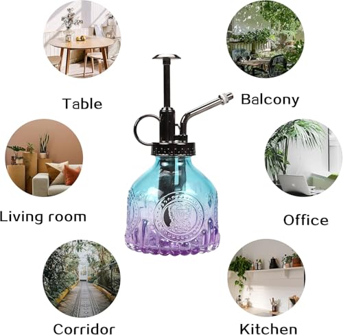 Glass Plant Mister Spray Bottle 200ML Watering Bottle with Top Pump Watering Can for Indoor Outdoor House Plants,Flowers (Blue-Purple)